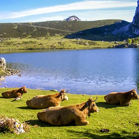 Vacacional Marita Διαμέρισμα