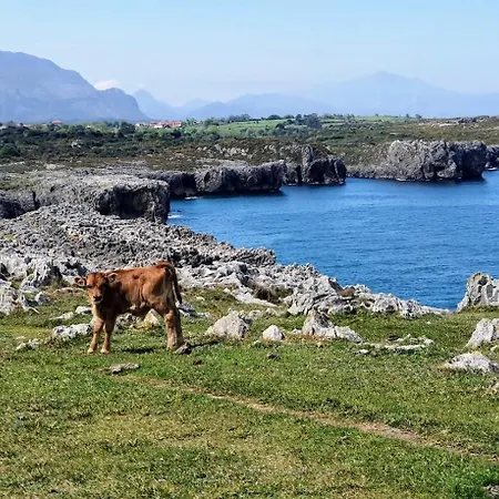 Apto Marita - Cerca De La Playa Nueva De Llanes