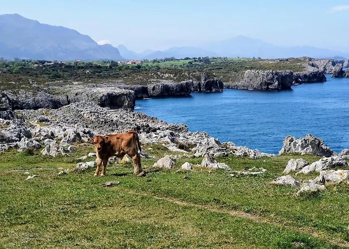 דירה Apto Marita - Nueva De Llanes Cerca De La Playa *
